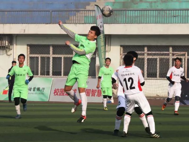 龙8头号玩家介绍